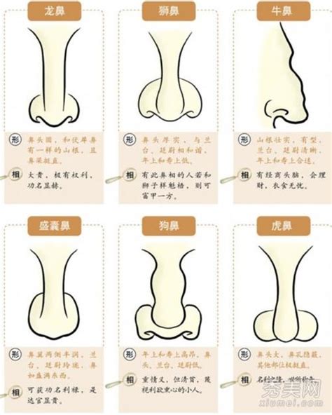 面相分析鼻子|史上最全的面相五官“算命”图文详解（精品收藏）